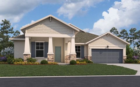 Seaire by Dream Finders Homes in Palmetto - photo 5 5