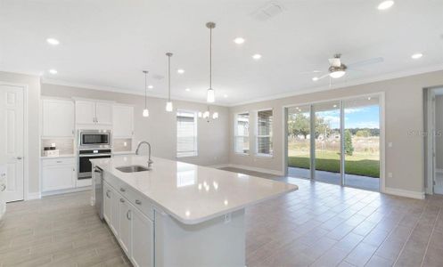 New construction Single-Family house 4465 Nw 53Rd Avenue Road, Ocala, FL 34482 - photo 15 15