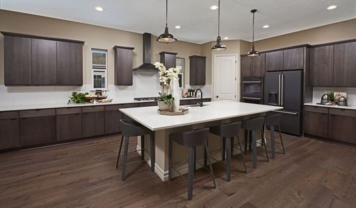 Estates at Asante by Richmond American Homes in Surprise - photo 21 21