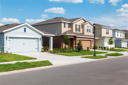 New construction Single-Family house 10583 Gliding Eagle Way, Land O' Lakes, FL 34638 Windermere- photo 42 42