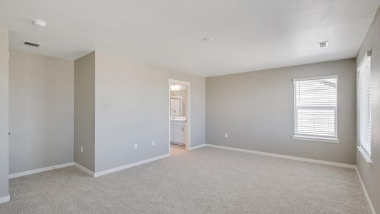 New construction Single-Family house 6525 12Th St, Frederick, CO 80530 BELLAMY- photo 16 16