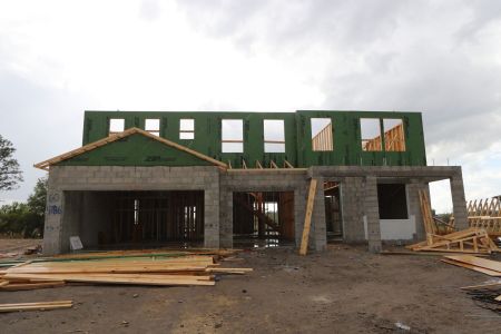 New construction Single-Family house 4786 Beachrose Way, Lakeland, FL 33811 Dali- photo 15 15