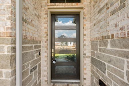 Modern front door