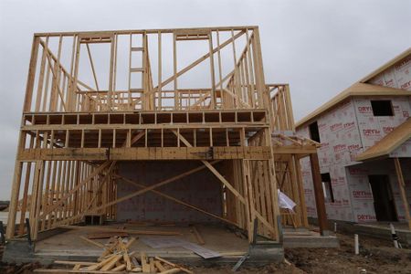 New construction Single-Family house 6005 Lady Mildred Way, Del Valle, TX 78617 Cadence- photo 4