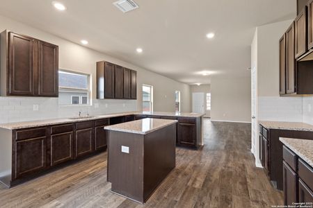 New construction Single-Family house 249 Antelope Valley, San Antonio, TX 78245 - photo 8 8