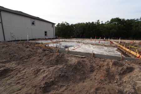 New construction Single-Family house 5016 Bromeliad Avenue, Wimauma, FL 33598 Dali- photo 7 7
