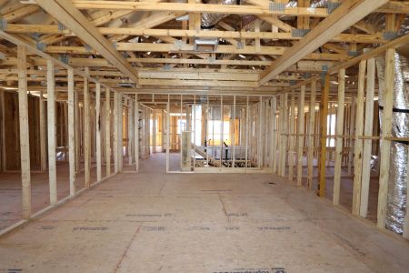 New construction Single-Family house 12078 Hilltop Farms Drive, Dade City, FL 33525 Mira Lago- photo 15 15