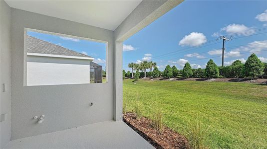 New construction Single-Family house 14539 Skipping Stone Loop, Parrish, FL 34219 - photo 15 15