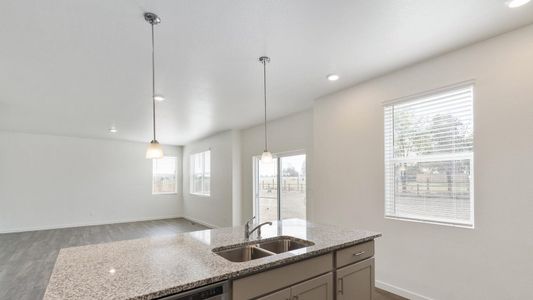 New construction Single-Family house 4525 Cattle Cross Trl, Castle Rock, CO 80104 Holcombe- photo 18 18