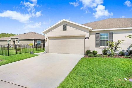 New construction Single-Family house 18058 Turning Leaf Circle, Land O' Lakes, FL 34638 - photo 12 12