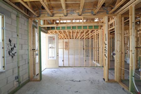 New construction Single-Family house 10605 New Morning Drive, Tampa, FL 33647 Sonoma II- photo 23 23