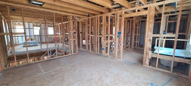 New construction Single-Family house 111 Pinyon Pine Pass, Hutto, TX 78634 Colton Homeplan- photo 14 14