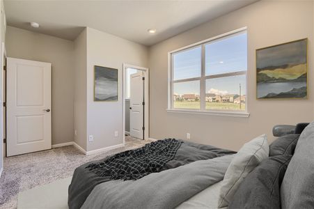 New construction Townhouse house 6983 Ipswich Ct, Castle Pines, CO 80108 - photo 11 11