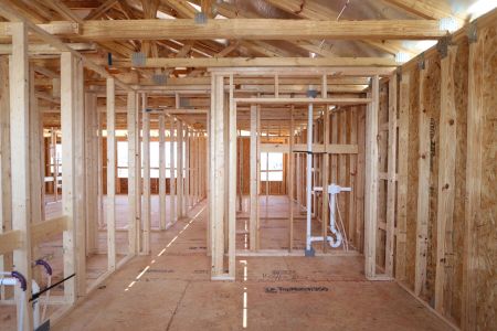 New construction Single-Family house 31870 Sapna Chime Drive, Wesley Chapel, FL 33545 Casanova- photo 18 18