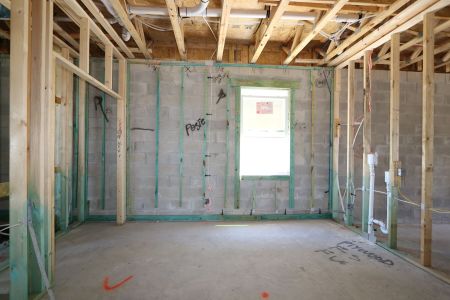 New construction Single-Family house 2522 Sunny Pebble Loop, Zephyrhills, FL 33540 Mira Lago- photo 85 85