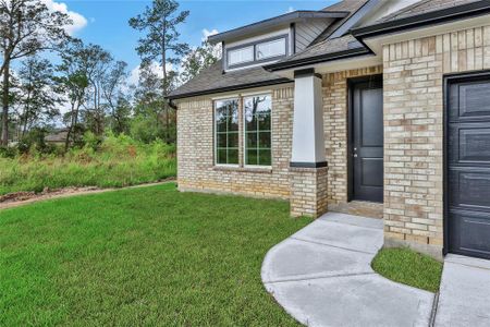 New construction Single-Family house 1015 Thor, New Caney, TX 77357 - photo 26 26