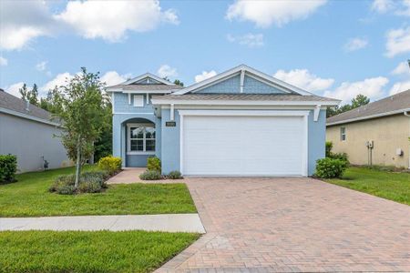 New construction Single-Family house 19393 Fort King Run, Brooksville, FL 34601 - photo 0