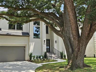 This beautiful Oak Tree provides beautiful tree house views and a nice shade during the hot summer months!