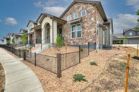 New construction Townhouse house 6248 Vernazza Way, Windsor, CO 80550 - photo 6 6