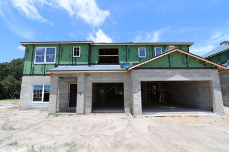 New construction Single-Family house 9611 Crescent Ray Drive, Wesley Chapel, FL 33545 Dali- photo 43 43
