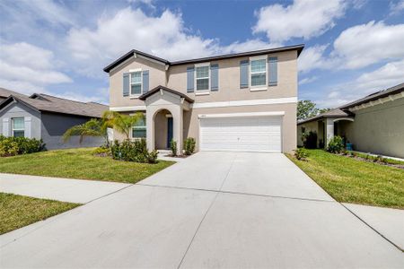 New construction Single-Family house 13234 Great Plains Drive, Riverview, FL 33579 - photo 1 1