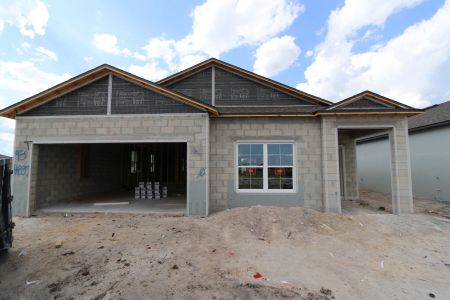 New construction Single-Family house 4837 Foxglove Circle, Lakeland, FL 33811 Picasso- photo 13 13