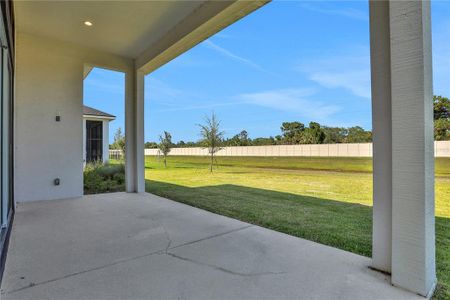 New construction Single-Family house 6239 Woodhaven Village Drive, Port Orange, FL 32128 - photo 48 48