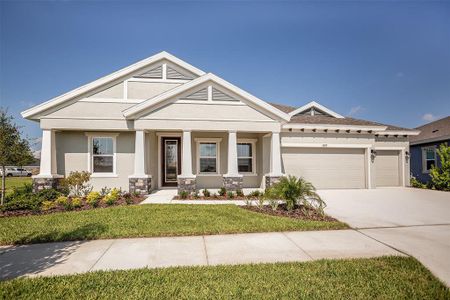 New construction Single-Family house 6257 Hidden Branch Drive, Apollo Beach, FL 33572 - photo 0