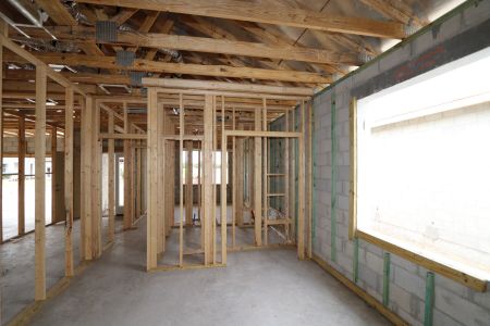 New construction Single-Family house 2517 Clary Sage Drive, Spring Hill, FL 34609 Corina  III- photo 19 19
