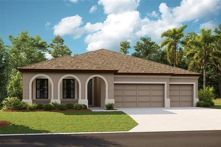 New construction Single-Family house 9149 Warm Springs Circle, Parrish, FL 34219 - photo 0