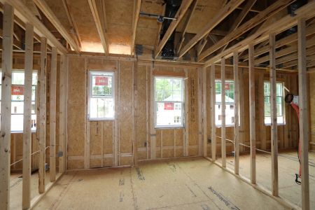 New construction Single-Family house 3122 Armeria Drive, Apex, NC 27502 Belmont- photo 9 9