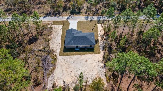 New construction Single-Family house 24053 Nw Tamarind Lane, Dunnellon, FL 34431 - photo 43 43