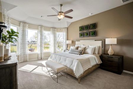 Rodeo Palms - The Lakes by Princeton Classic Homes in Manvel - photo 14 14