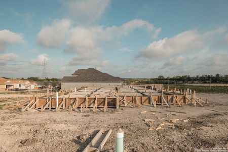 New construction Single-Family house 8437 Roadrunner Passage, San Antonio, TX 78222 Harrison- photo 3 3