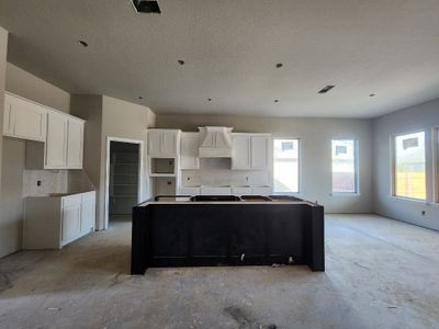 New construction Single-Family house 15005 Elite Drive, Aledo, TX 76008 Aster FE- photo 19 19