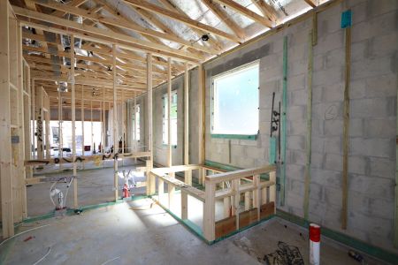 New construction Single-Family house 33224 Amling Pecan Branch, Wesley Chapel, FL 33545 Newport II- photo 9 9