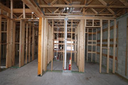 New construction Single-Family house 3024 King Fern Drive, Wimauma, FL 33598 Mira Lago- photo 14 14