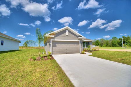 New construction Single-Family house 4065 Tullamore Lane, Auburndale, FL 33823 - photo 4 4