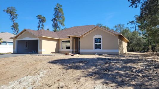 New construction Single-Family house 3388 Sw 165Th Loop, Ocala, FL 34473 - photo 19 19