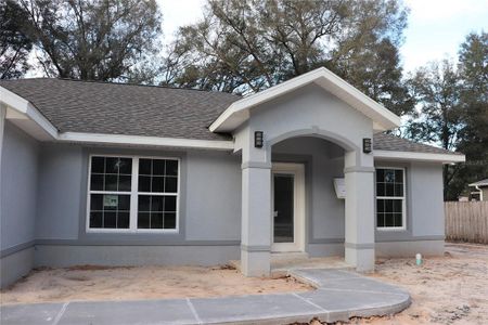 New construction Single-Family house 3039 Se 142Nd Lane, Summerfield, FL 34491 - photo