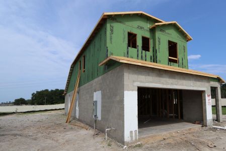 New construction Single-Family house 2885 Misty Marble Drive, Zephyrhills, FL 33540 Herrera- photo 51 51