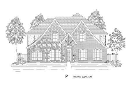 New construction Single-Family house 5112 Amherst Court, Parker, TX 75002 - photo 13 13