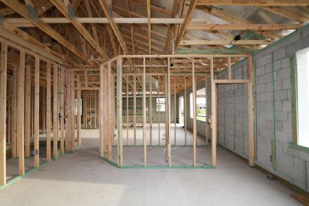 New construction Single-Family house 2941 Marine Grass Drive, Wimauma, FL 33598 Barcello- photo 22 22