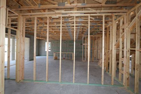 New construction Single-Family house 31801 Sapna Chime Drive, Wesley Chapel, FL 33545 Alenza- photo 22 22