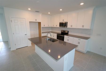 New construction Single-Family house 9220 Westernwoods Avenue, Parrish, FL 34219 Palisades- photo 5 5
