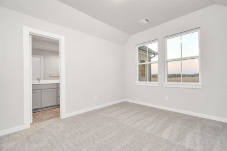 New construction Single-Family house 22015 Villa Terrace Drive, Hockley, TX 77447 Plan 270- photo 19 19