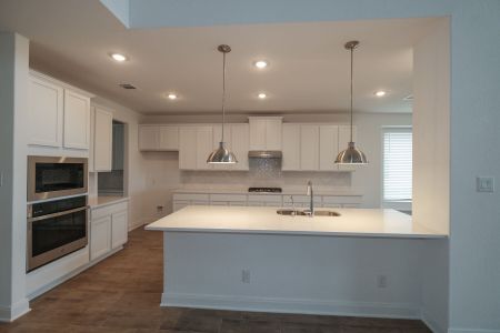 New construction Single-Family house 5007 Everly Terrace;, San Antonio, TX 78263 - photo 6 6