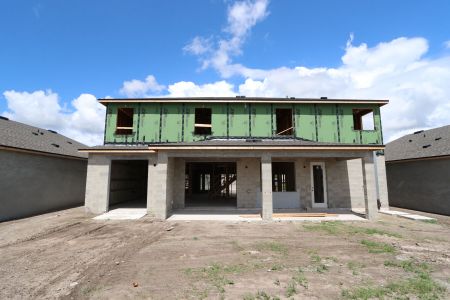 New construction Single-Family house 32556 Sapna Chime Drive, Wesley Chapel, FL 33545 Dali- photo 47 47