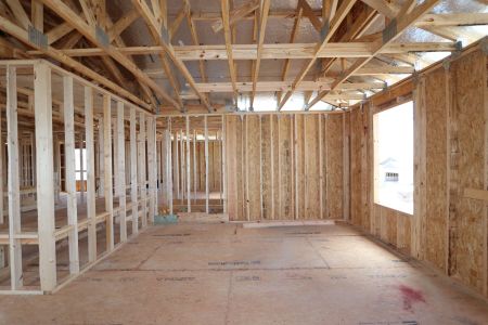 New construction Single-Family house 31801 Sapna Chime Drive, Wesley Chapel, FL 33545 Alenza- photo 35 35