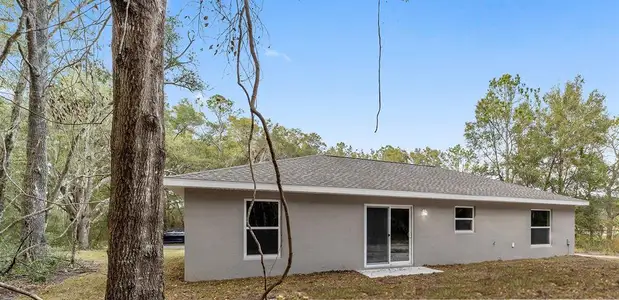 New construction Single-Family house 10131 Sw 188Th Court, Dunnellon, FL 34432 - photo 16 16